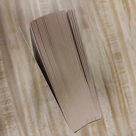 A Salty Piece of Land  Buffett, Jimmy  Mass Market Paperback Book  Used 2004 - Picture 4 of 10